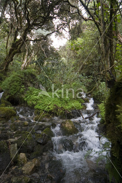 Sacret valley