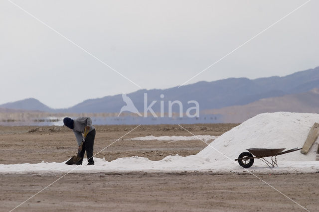 Salar de Uyuni