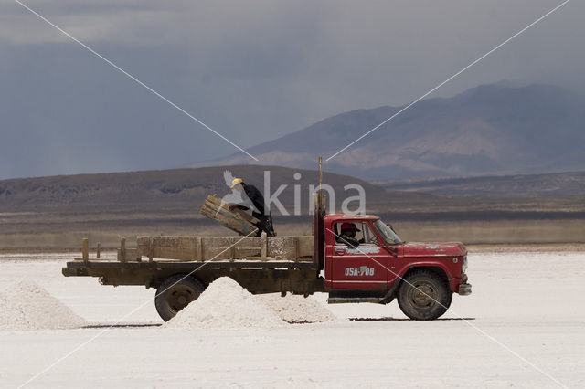 Salar de Uyuni