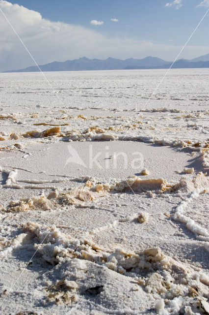 Salar de Uyuni