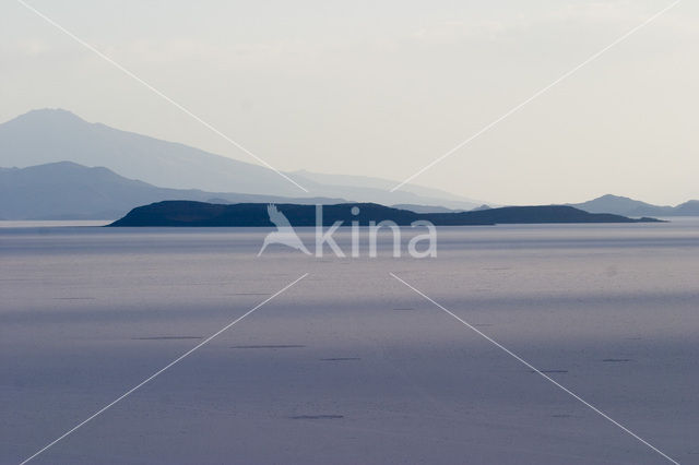 Salar de Uyuni