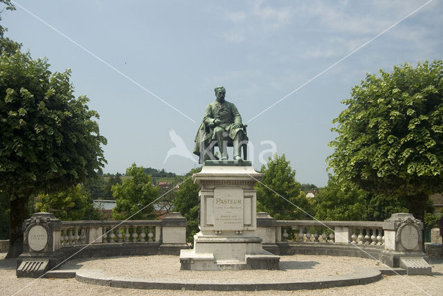 standbeeld Louis Pasteur