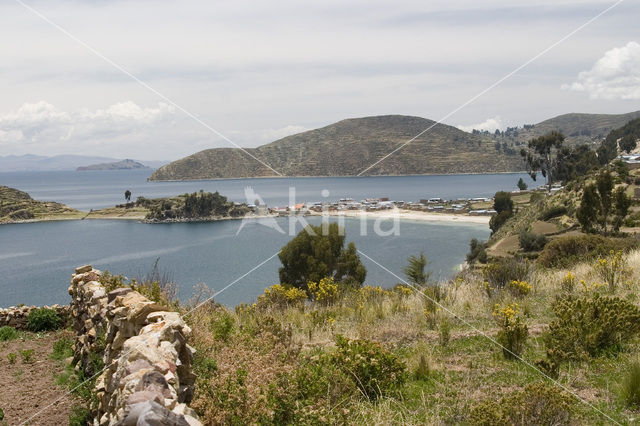 Titicaca meer