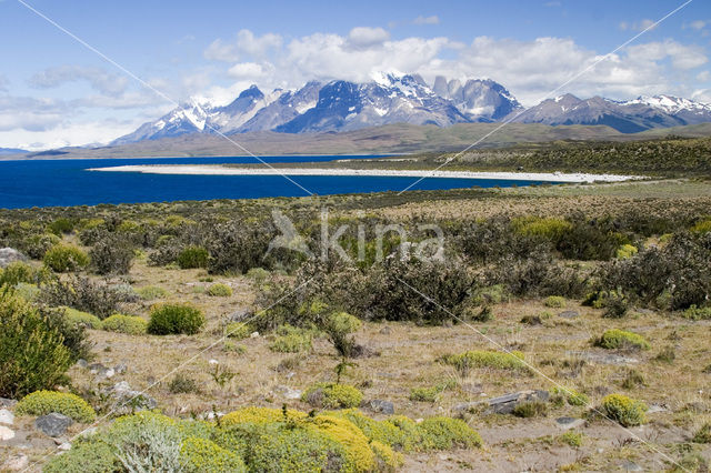 Torres del Paine National Park