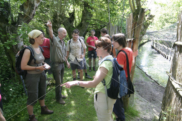 Eendenkooi Batenburg