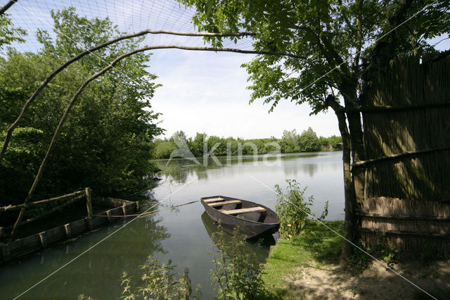 duck decoy Batenburg