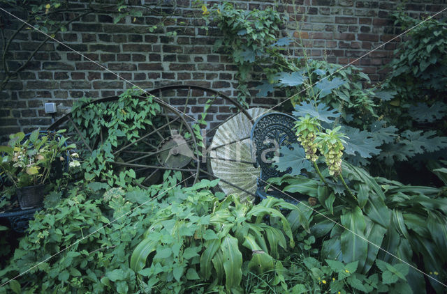 Garten Krautwig