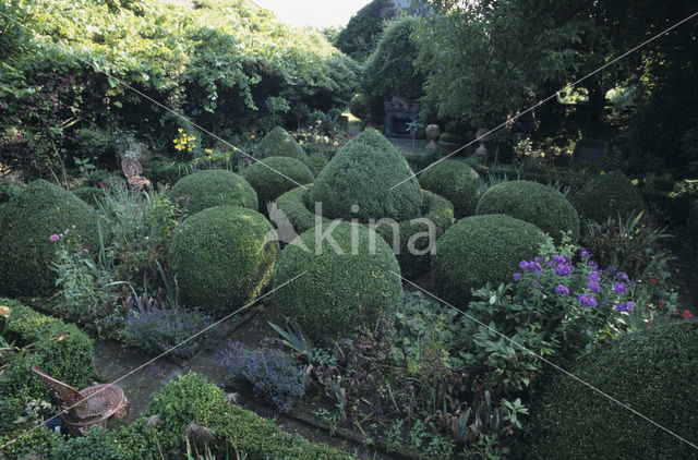 Garten Krautwig