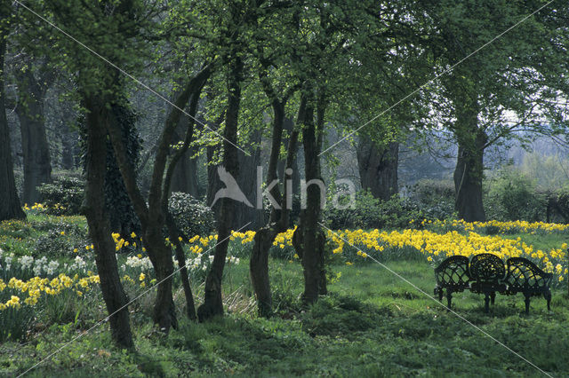 Garten Krautwig