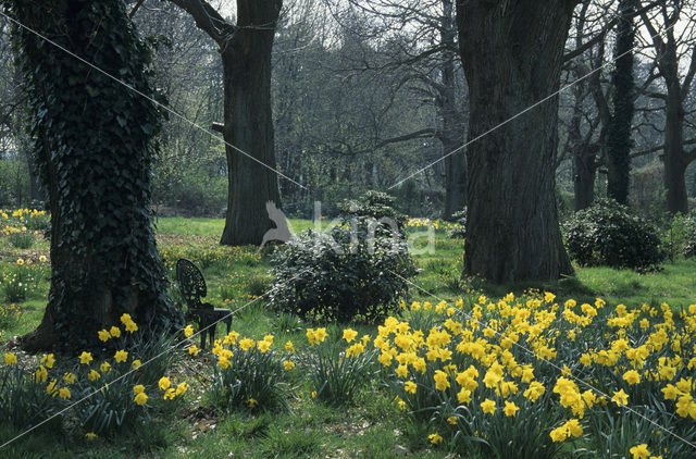 Garten Krautwig