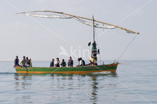 Ilha do Paraiso