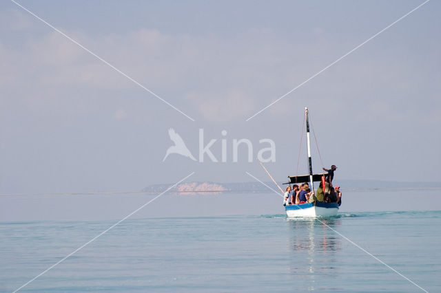 Ilha do Paraiso