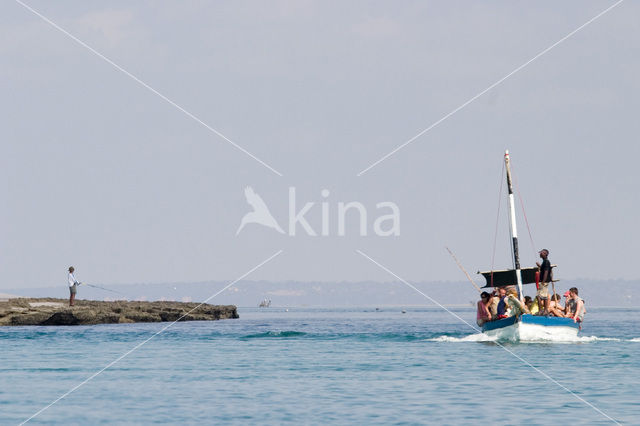 Ilha do Paraiso