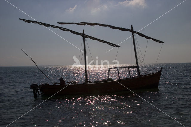 Ilha do Paraiso