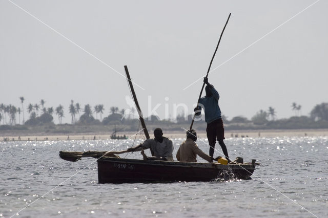 Indian Ocean