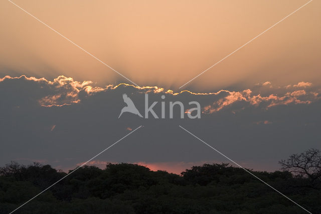 Kruger Park