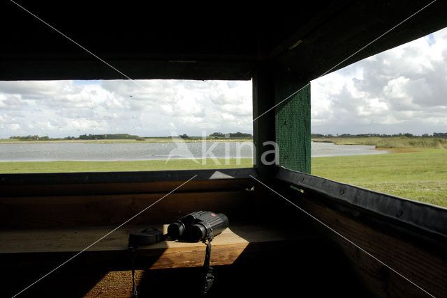 Lage land van Texel