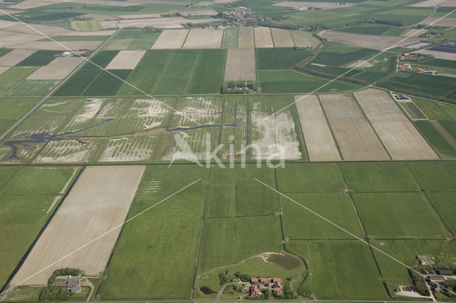 Lage land van Texel