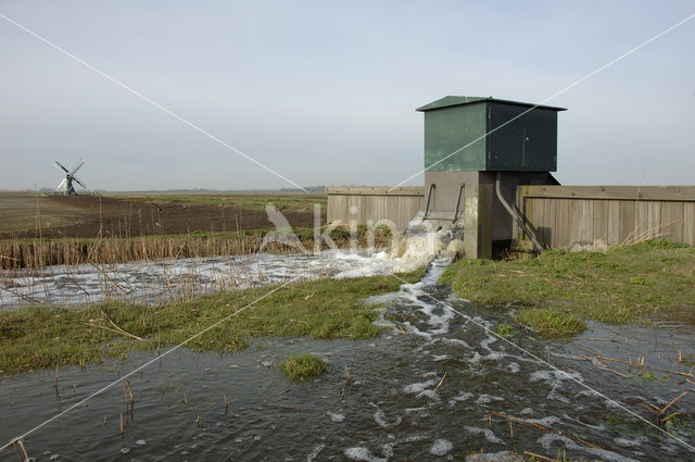 Lage land van Texel