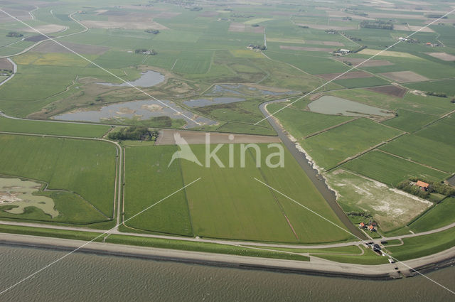 Lage land van Texel