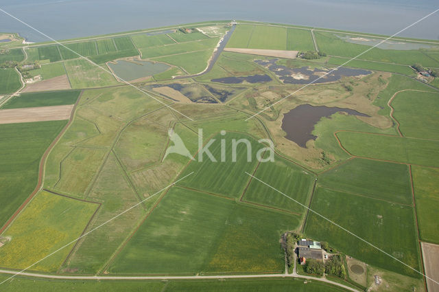 Lage land van Texel