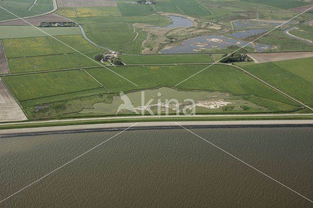 Lage land van Texel