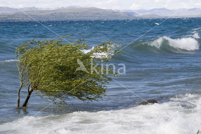 Lago Nahuel Huapi