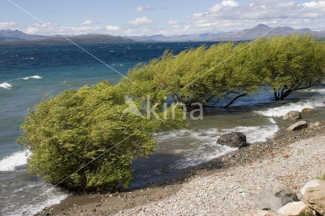 Lago Nahuel Huapi