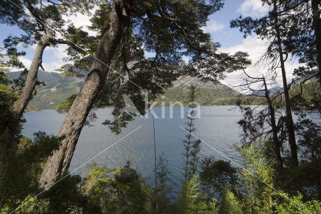 Lago Nahuel Huapi