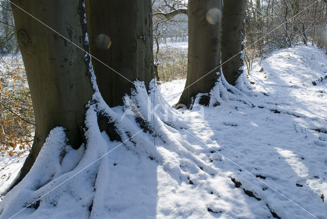 Landgoed Jagtlust