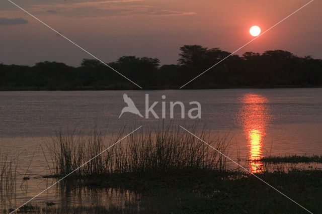 Liwonde National Park