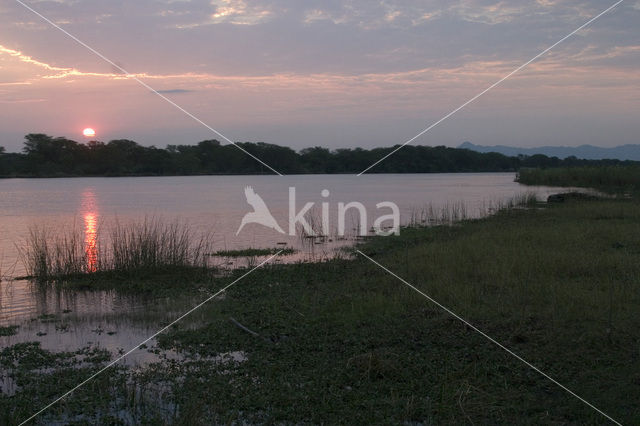 Liwonde National Park