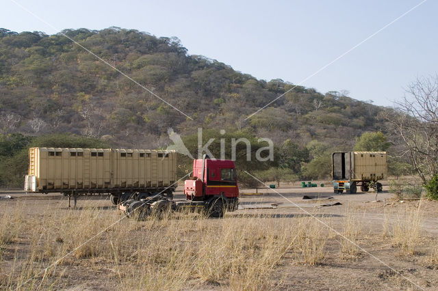 Liwonde National Park