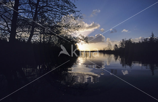 National Park De Alde Feanen