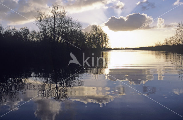 Nationaal Park De Alde Feanen