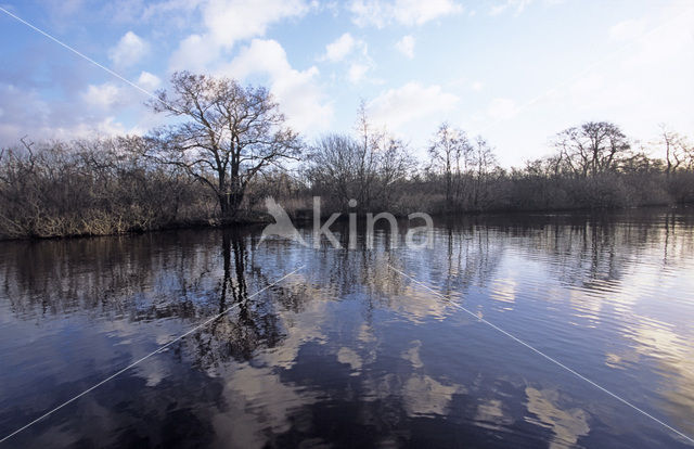 Nationaal Park De Alde Feanen
