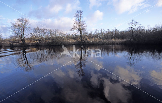 Nationaal Park De Alde Feanen