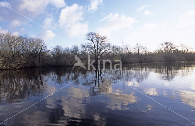 National Park De Alde Feanen