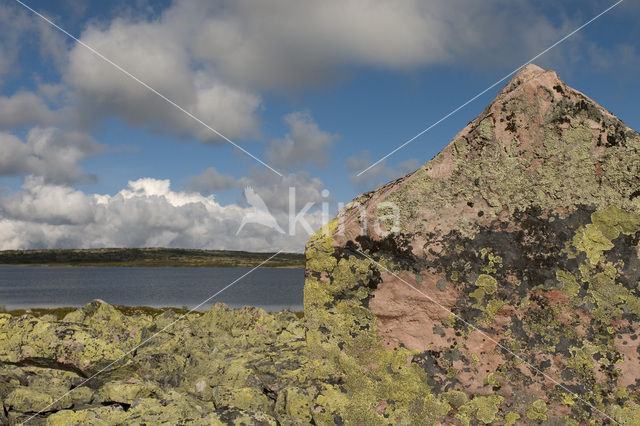 Nationaal Park Fulufjället