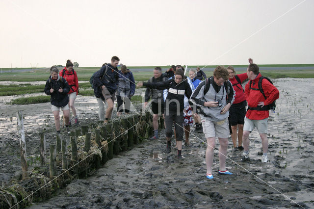 Nationaal Park Lauwersmeer