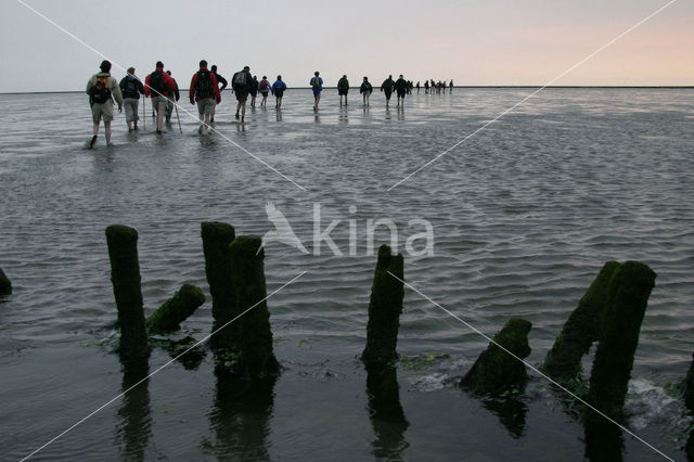 Nationaal Park Lauwersmeer