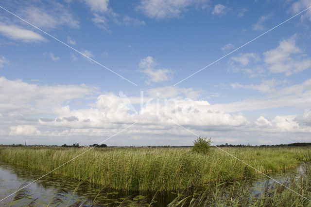 National Park Weerribben-Wieden