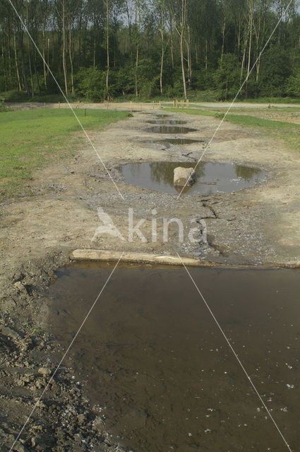 Natuurbrug Het Groene Woud