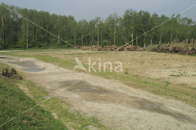 Natuurbrug Het Groene Woud