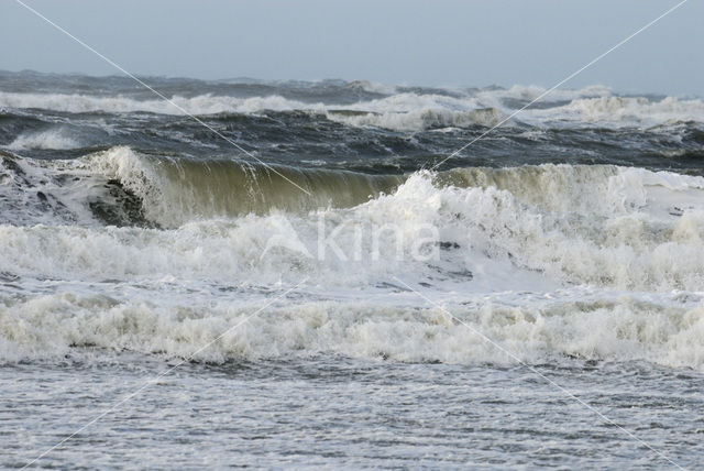 Northsea beach