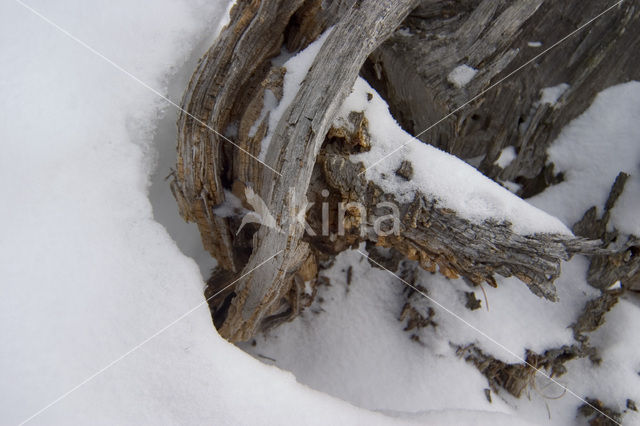 Vanoise National Park