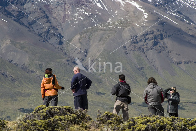 Perito Moreno National Park