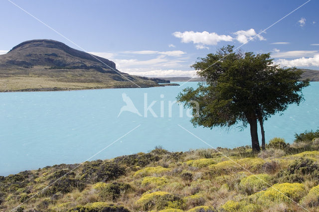 Perito Moreno National Park