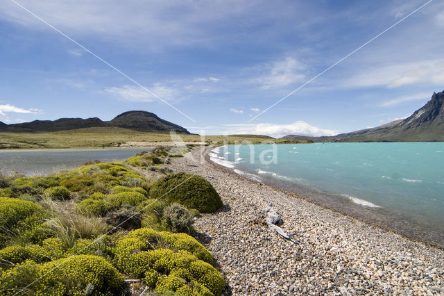 Perito Moreno National Park