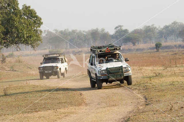 South Luangwa National Park